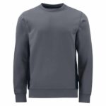 projob-collegepaita-2127 logolla