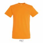 sols-regent-t-paita logolla