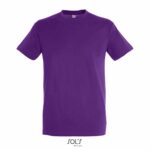 sols-regent-t-paita logolla
