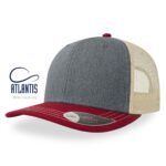 atlantis sonic lippis