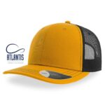 atlantis sonic lippis