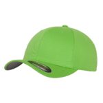 Flexfit-fitted-baseball-lippis-omalla logolla