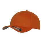 Flexfit-fitted-baseball-lippis-omalla logolla