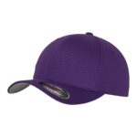 Flexfit-fitted-baseball-lippis-omalla logolla