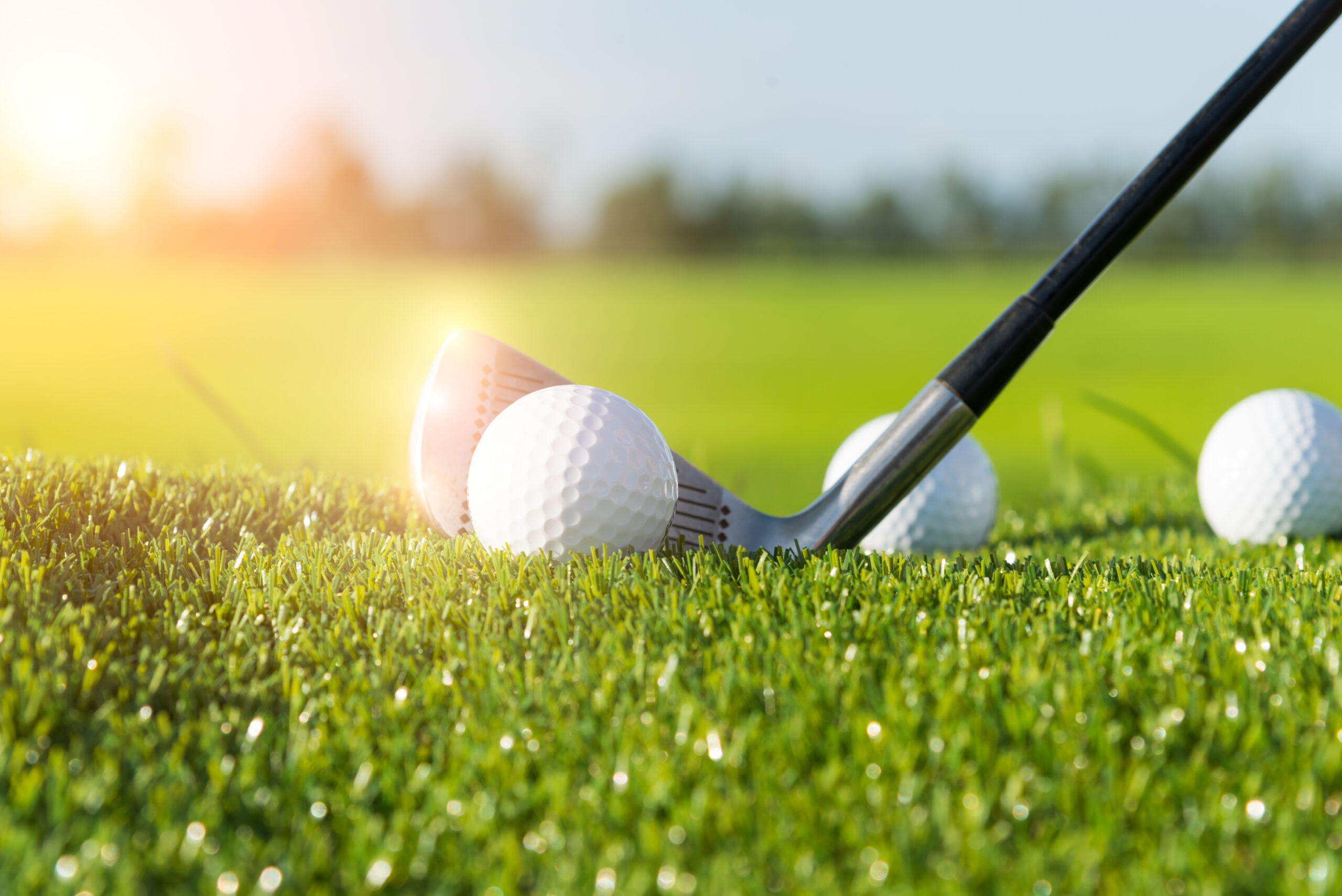 golfpallot omalla logolla