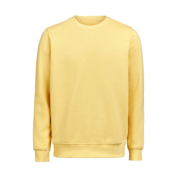 UM Crewneck regular fit college paita omalla logolla